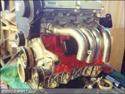 Zetec Engine.The different engines